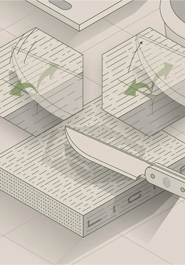 Ilustración ligna wood design