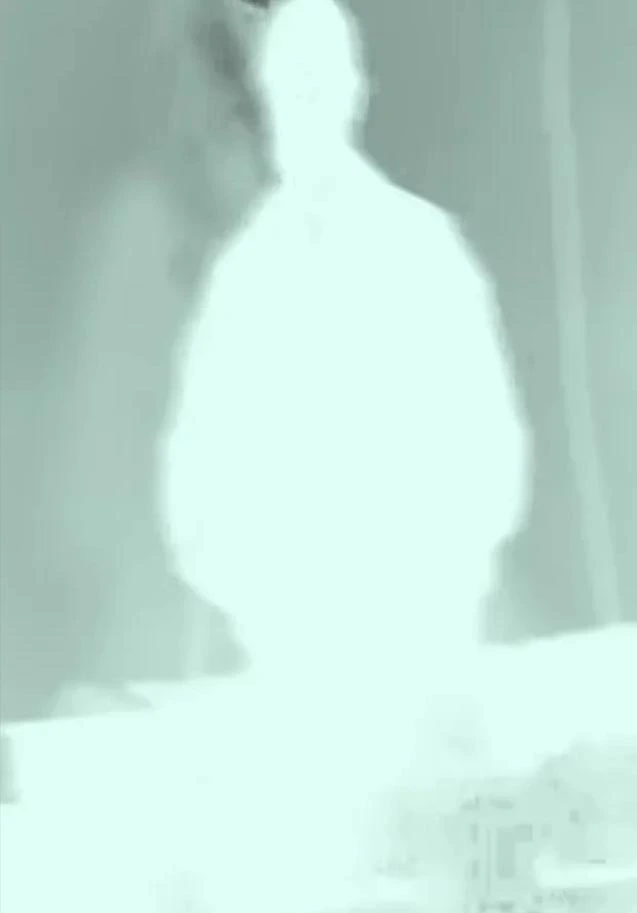 Proyecto audiovisual neonoova