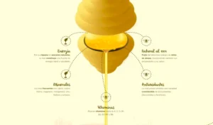 Diseño de infografías: convierte tus datos en historias visuales